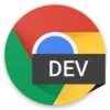 Chrome Dev 157.0.8080.0  Free Download For Window icon